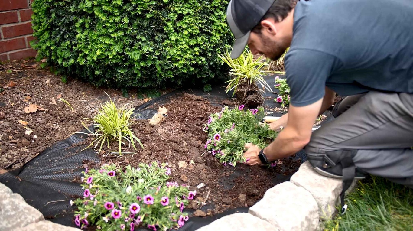 Mulching & Bed Maintenance service in Yucaipa, CA