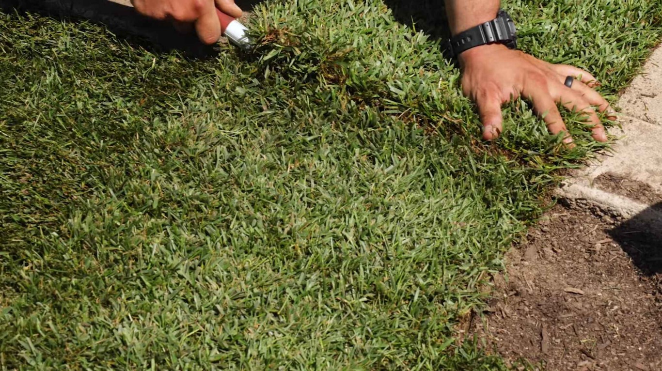 Lawn Care & Maintenance service in Yucaipa, CA